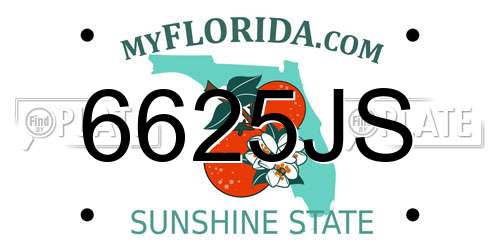 6625JS Florida License Plate