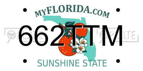 662TTM Florida License Plate