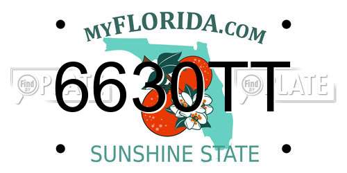 6630TT Florida License Plate