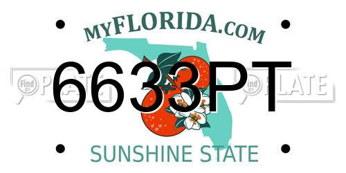 6633PT Florida License Plate