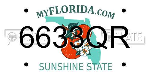 6633QR Florida License Plate