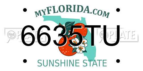 6635TU Florida License Plate