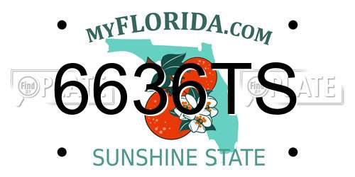 6636TS Florida License Plate