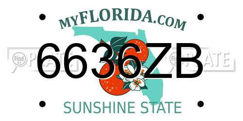6636ZB Florida License Plate