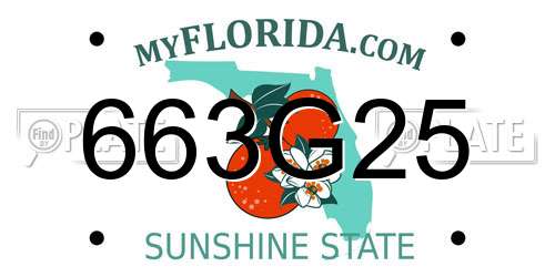 663G25 Florida License Plate