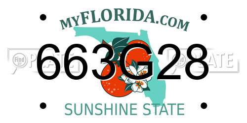 663G28 Florida License Plate