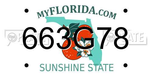 663G78 Florida License Plate