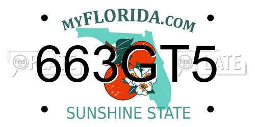 663GT5 Florida License Plate