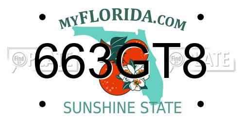 663GT8 Florida License Plate