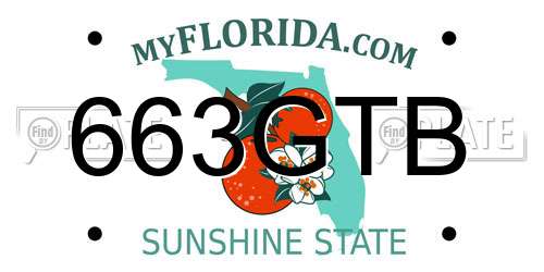 663GTB Florida License Plate