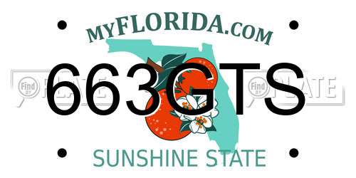 663GTS Florida License Plate