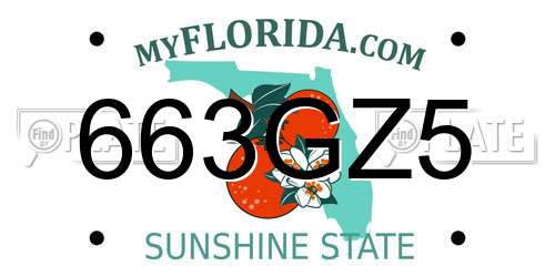 663GZ5 Florida License Plate