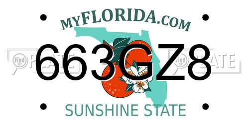 663GZ8 Florida License Plate