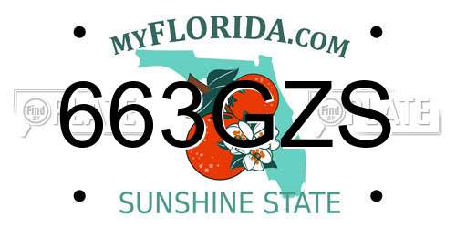 663GZS Florida License Plate