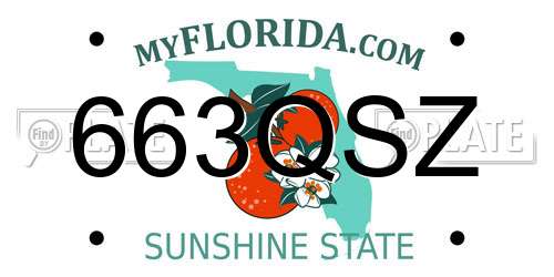 663QSZ Florida License Plate