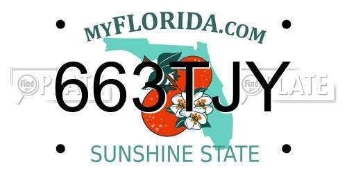 663TJY Florida License Plate