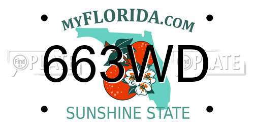 663WD Florida License Plate