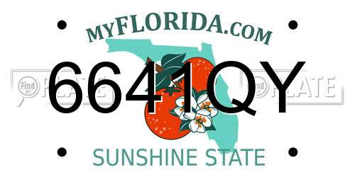 6641QY Florida License Plate