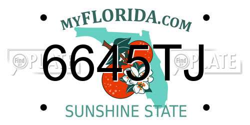 6645TJ Florida License Plate