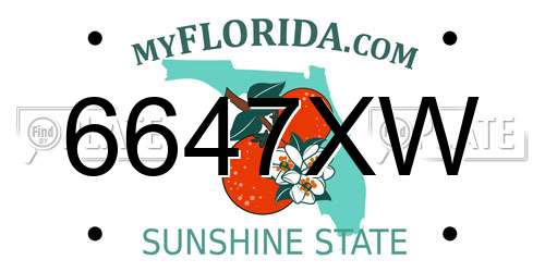 6647XW Florida License Plate