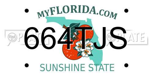 664TJS Florida License Plate