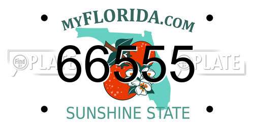 66555 Florida License Plate