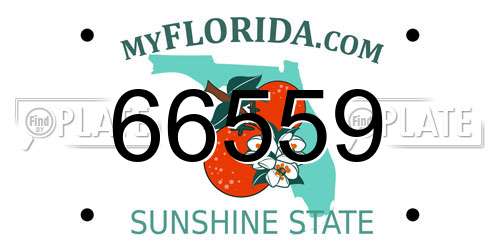 66559 Florida License Plate