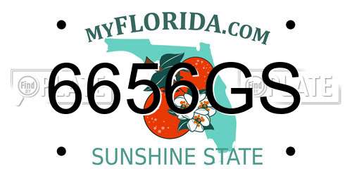 6656GS Florida License Plate