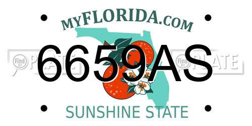 6659AS Florida License Plate