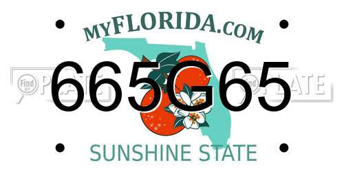 665G65 Florida License Plate