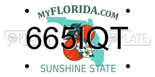 665IQT Florida License Plate