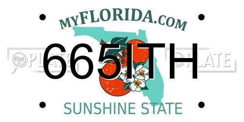 665ITH Florida License Plate
