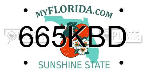 665KBD Florida License Plate