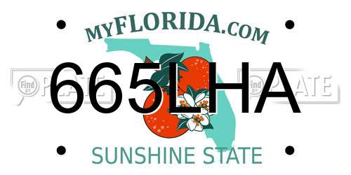 665LHA Florida License Plate