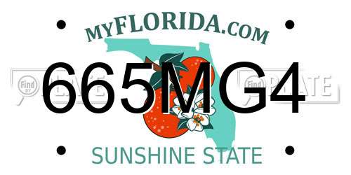 665MG4 Florida License Plate