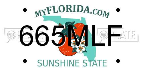 665MLF Florida License Plate