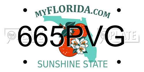 665PVG Florida License Plate