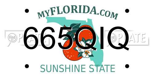 665QIQ Florida License Plate