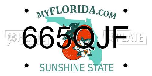665QJF Florida License Plate