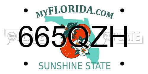 665QZH Florida License Plate