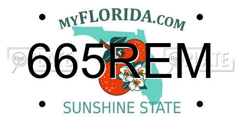 665REM Florida License Plate