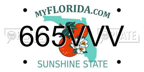665VVV Florida License Plate