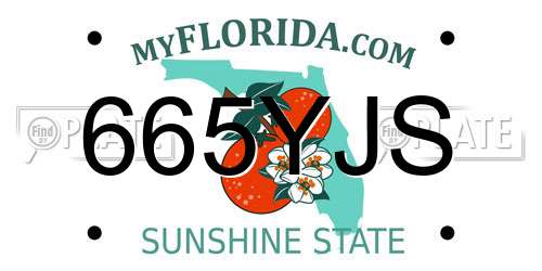 665YJS Florida License Plate