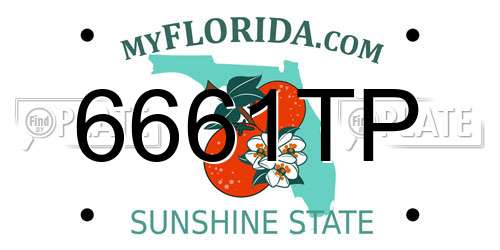 6661TP Florida License Plate