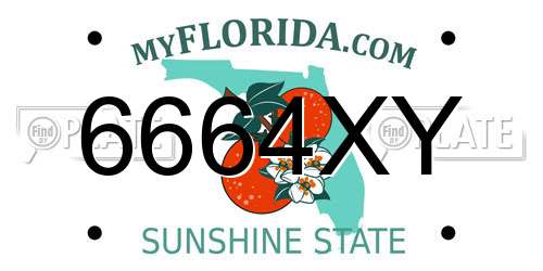 6664XY Florida License Plate