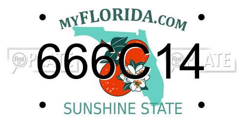 666C14 Florida License Plate