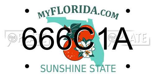 666C1A Florida License Plate