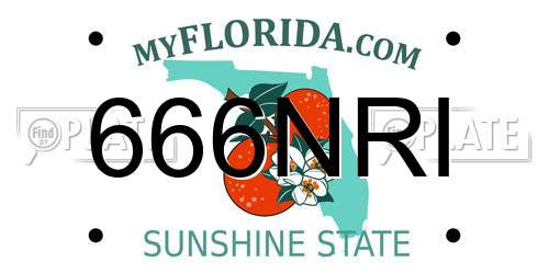 666NRI Florida License Plate