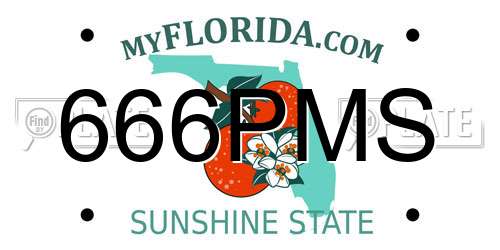 666PMS Florida License Plate