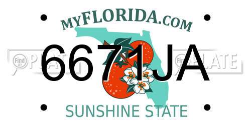 6671JA Florida License Plate